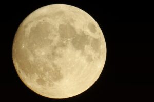 TOPIX ETFの手数料が0円のメリットとは？