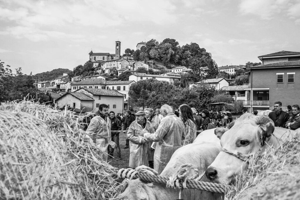 スキャルピングにおける手数料の影響はどのようなものですか？