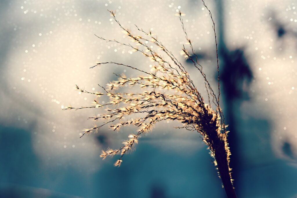 スプレッドが0.2の時、投資のリスクはどのように変わるのか？