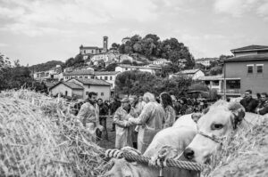 株のスキャルピングで手数料を抑える方法は？