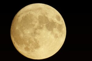 国内株の0円NISA対応のメリットとは？