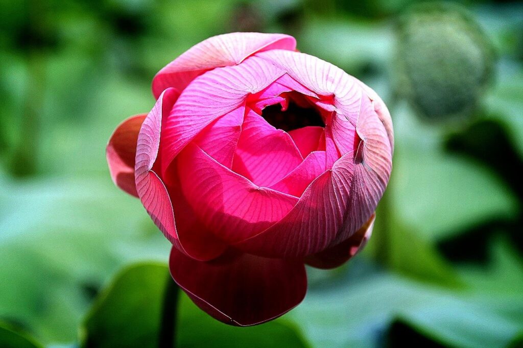 決算情報を早く知るための効果的な方法は？