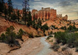 国内株と米国株、長期投資と短期投資の違いは？